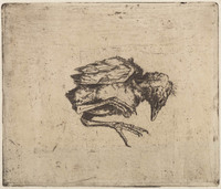 TvB G 3536
<br/>
Dood vogeljong
<br/>
<em>Wittenberg, Jan Hendrik Willem (1886-1963)</em>